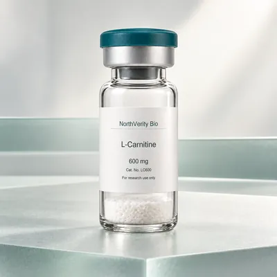 L-Carnitine 600 mg × 10 Fläschchen · LC600 · Katalogillustration, kein Foto der tatsächlichen Verpackung.