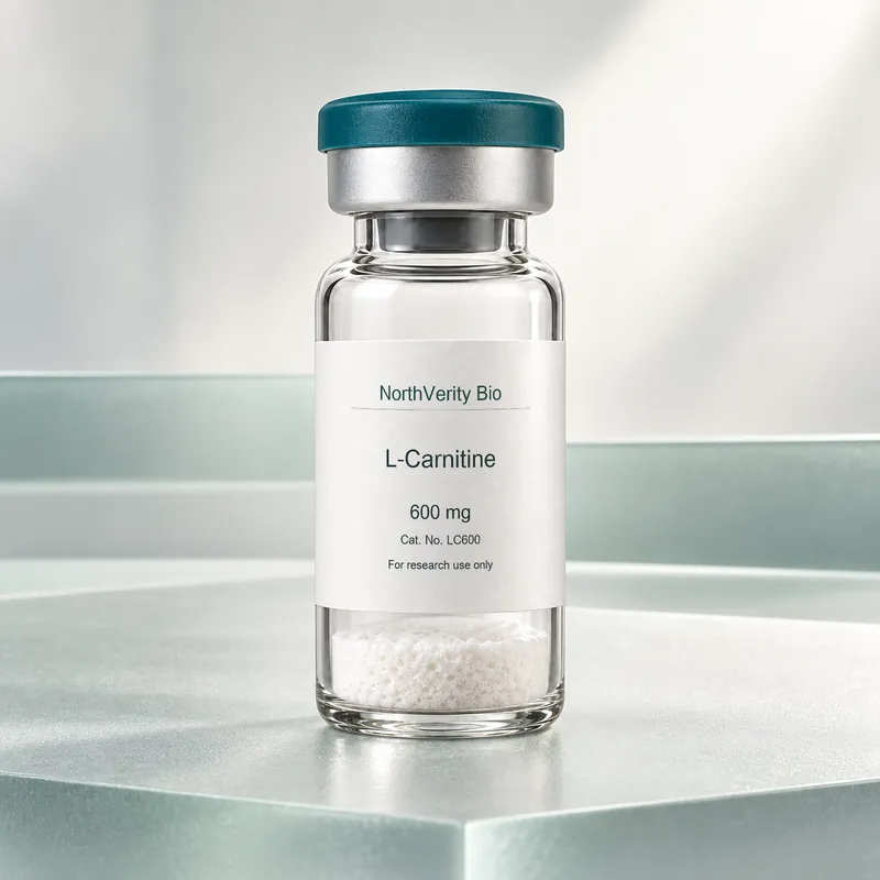 L-Carnitine 600 mg × 10 瓶 · LC600 · 目录示意图，非实际包装实拍。